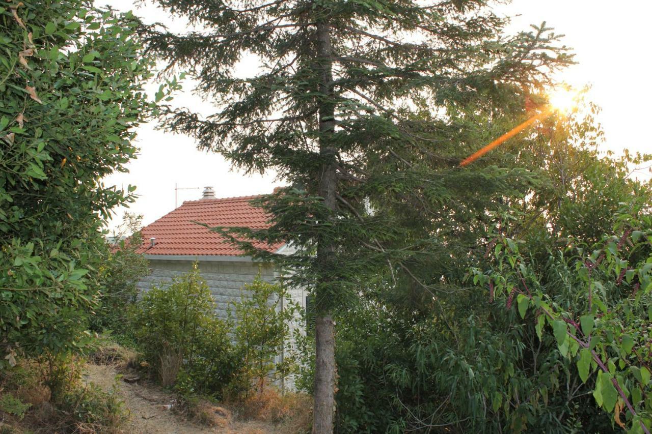 I Sassi Bianchi - East Villa Кавтат Екстериор снимка